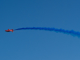 DSC1333